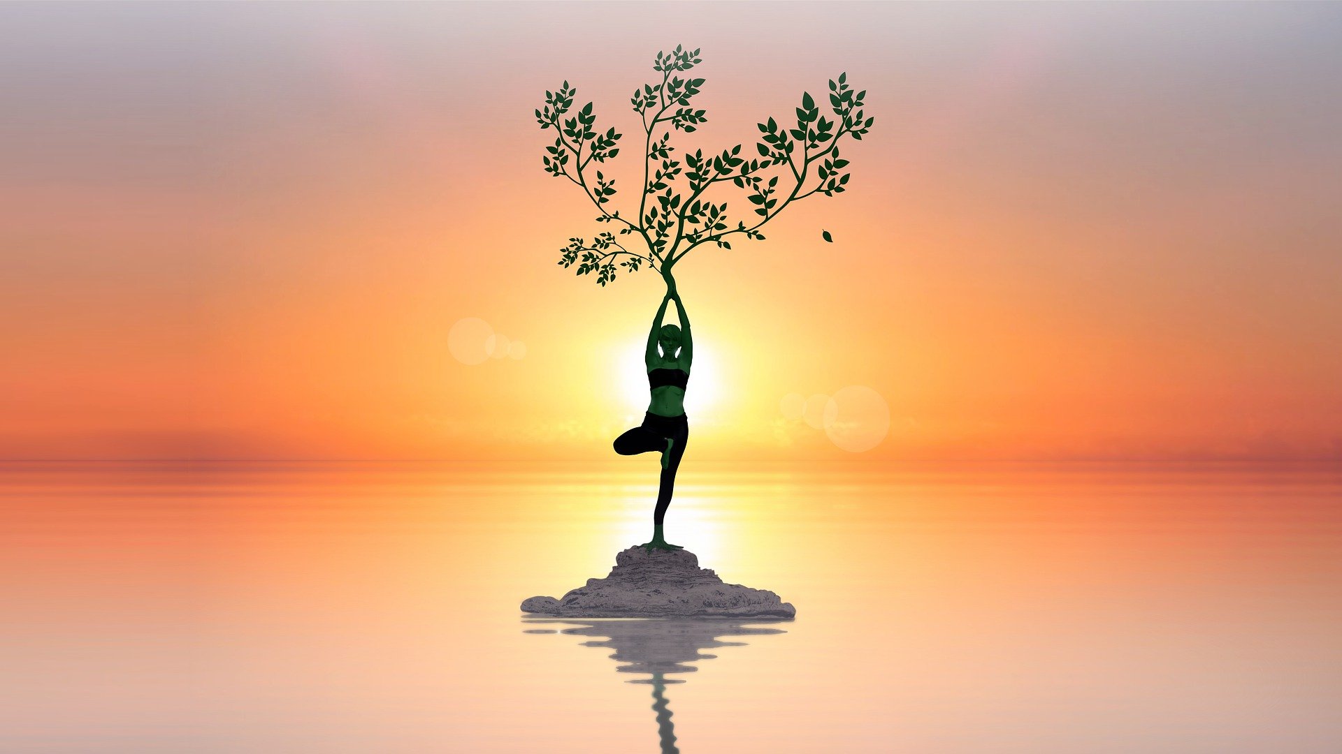 Posture de l'arbre au soleil couchant